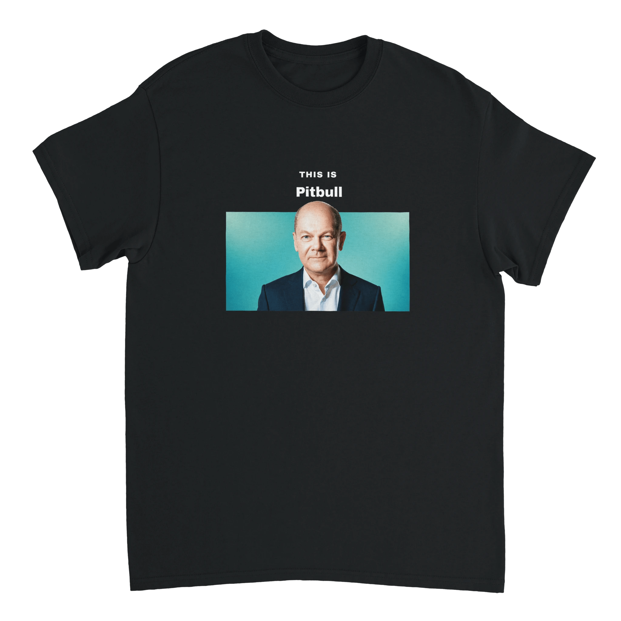 THIS IS PITBULL T - SHIRT - LetztesHemd